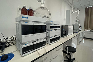 ʢ������(�й���)���ٷ���վ