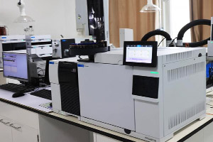 ʢ������(�й���)���ٷ���վ